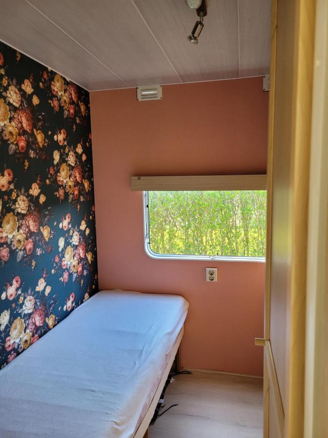 Camping De Blauwe Reiger Pieterzijl Exteriör bild
